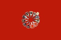班戈回收红酒